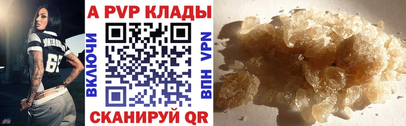 Альфа ПВП СК КРИС  закладка  Балтийск 