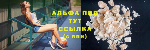 метадон Богданович