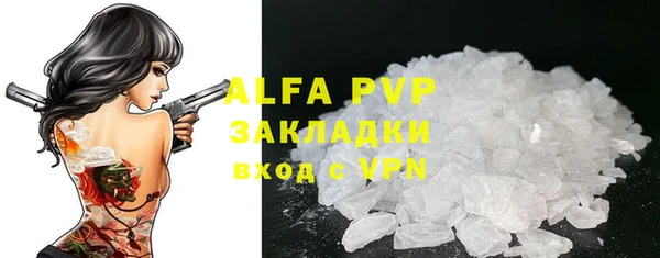 спиды Бородино