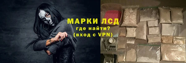 прущие грибы Богородицк