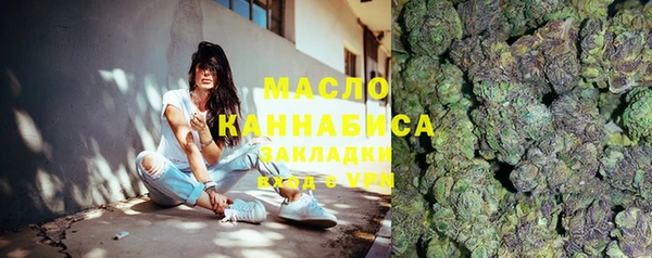 спиды Бородино