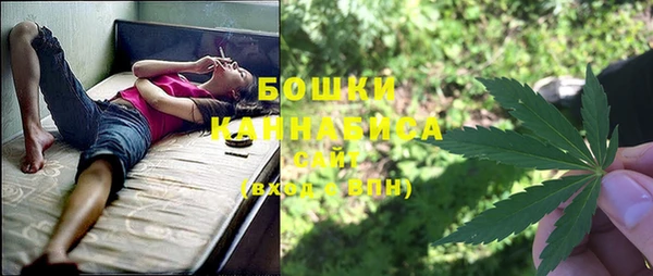 прущие грибы Богородицк