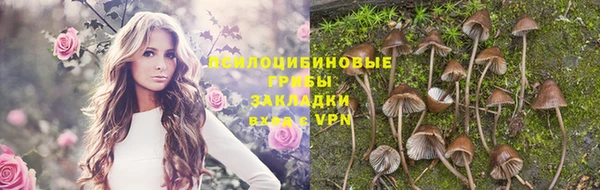 кокаин премиум Богородск