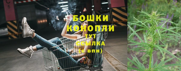 прущие грибы Богородицк