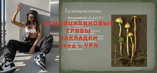 крисы Бугульма