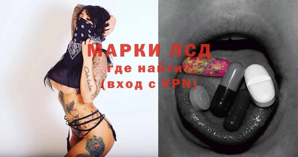 прущие грибы Богородицк