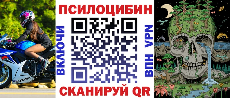 хочу   KRAKEN онион  Псилоцибиновые грибы прущие грибы  Балтийск 